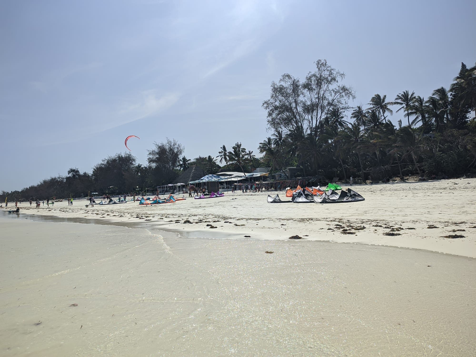 Diani & the South Coast